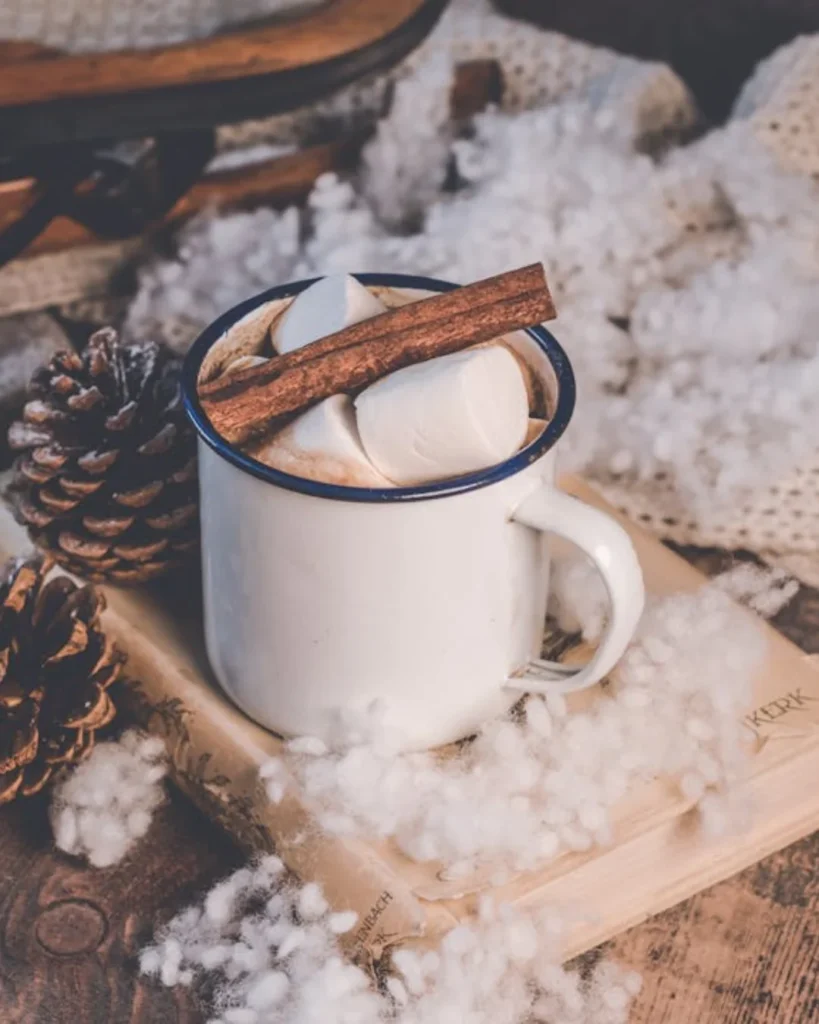 White ceramic mug, with marshmallows and cinnamon stick.