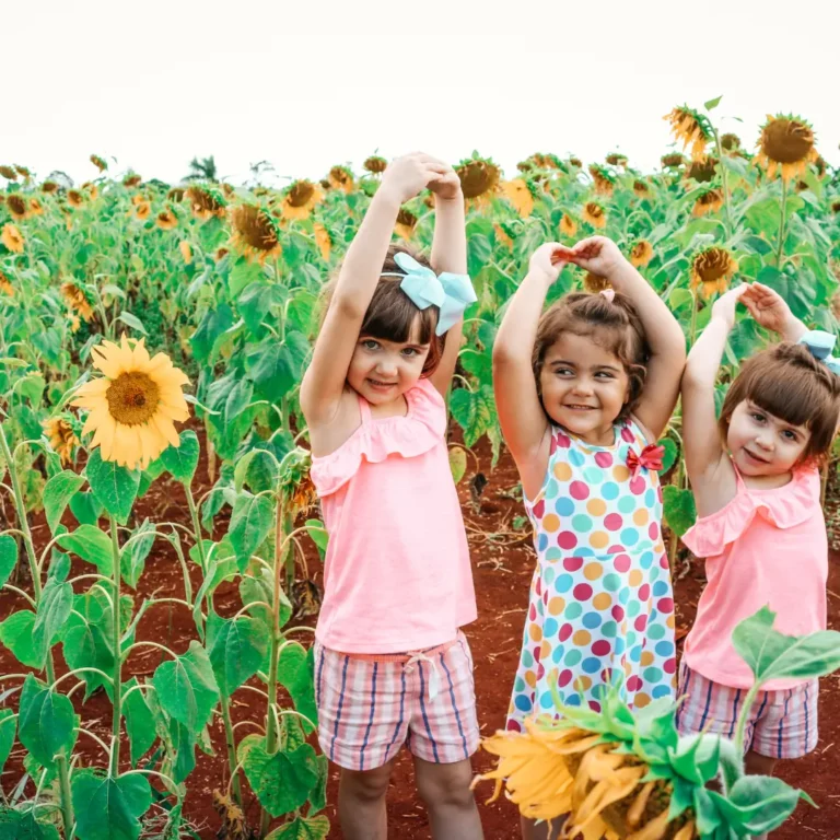 Kids at a Sunflower Field