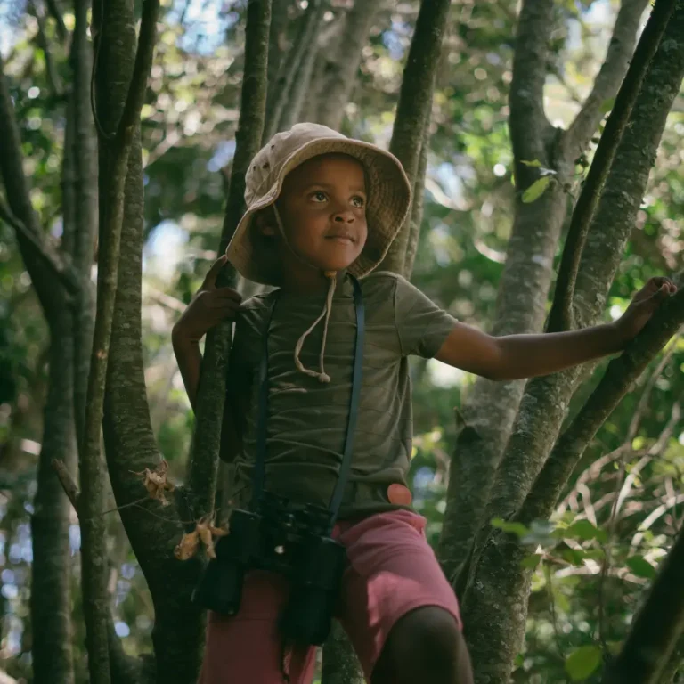 Kid Climbing Trees in the Forest