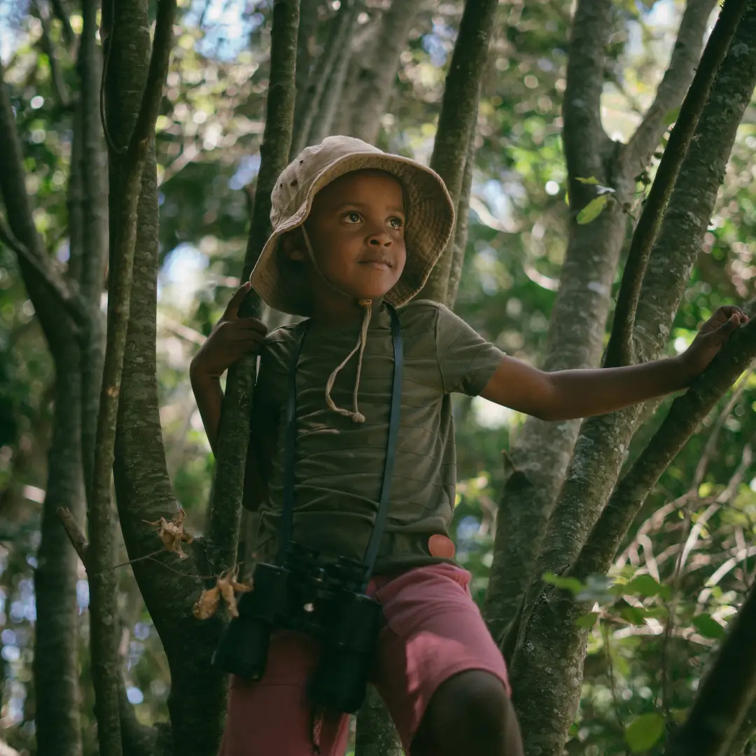 Kid Climbing Trees in the Forest