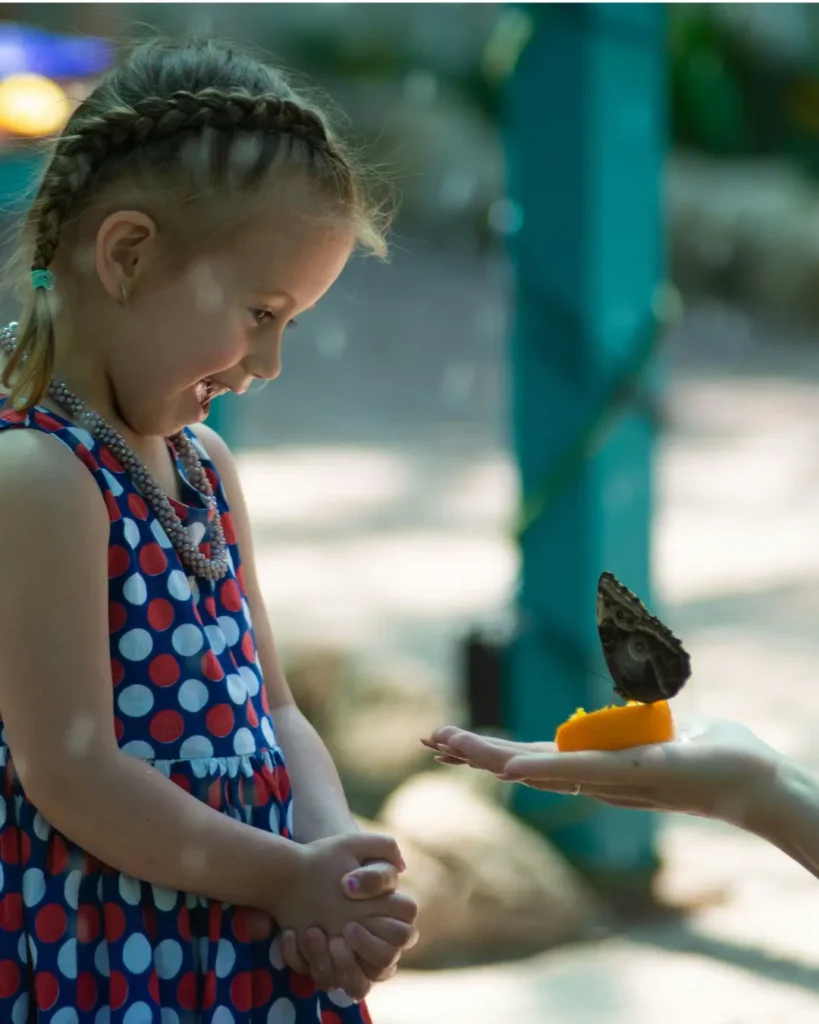 Photograph of a Kid Looking at a Butterfly