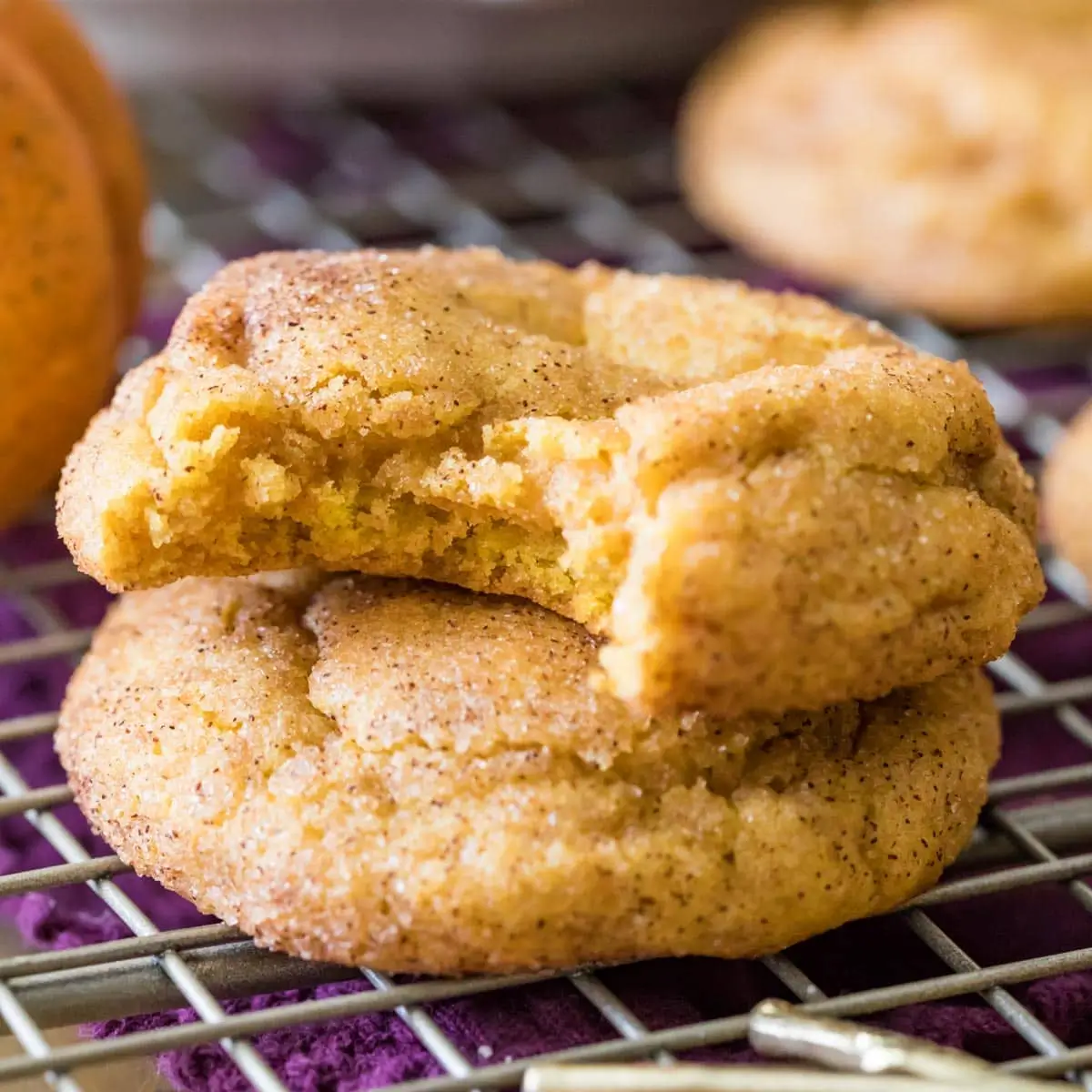 Pumpkin Snickerdoodles 