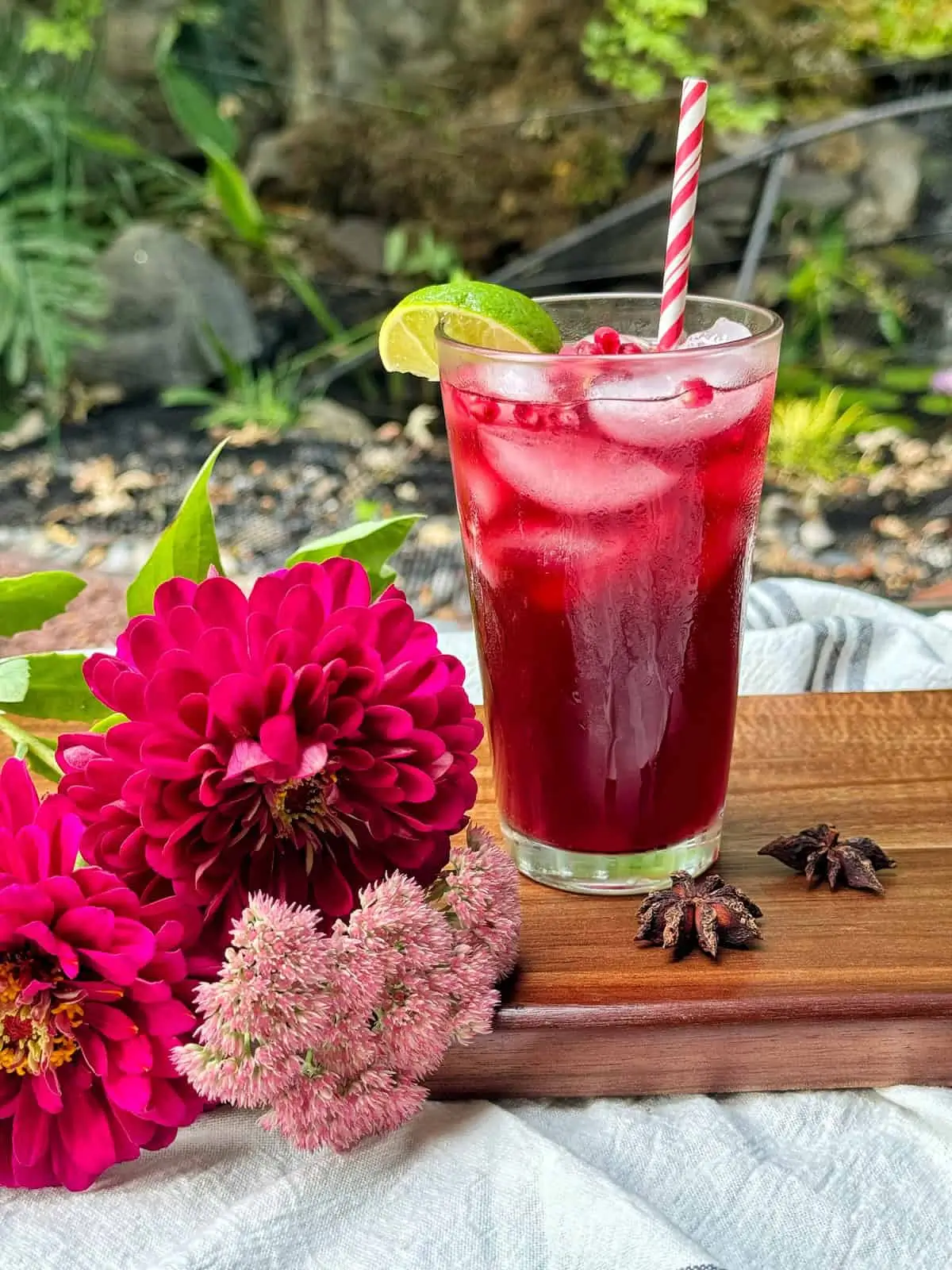 Pomegranate Ginger Fizz